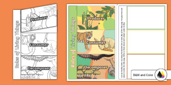 Natural or Artificial Sources of Light Worksheet - Twinkl