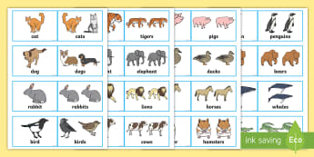 48 Regular Plural Cards - SLI, grammar, EAL, language disorder, Language delay