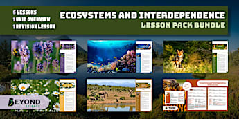 KS3 Ecosystems and Interdependence Unit of Work | Beyond
