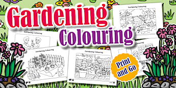 Create In 2D - Creative Arts - Life Skills - Grade 2 South Africa