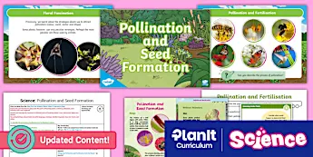 Pollinators Mind Map Pollination Resources | twinkl.co.uk