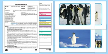 EYFS Question Prompts | twinkl.co.uk
