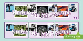 Mind Map Microscope Microscopes Science Resources | twinkl.co.uk