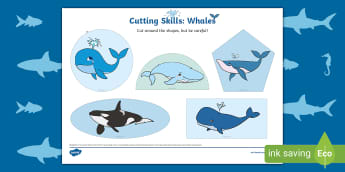 Whale Cutting Skills Activity