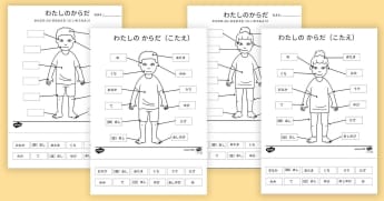体の作りと働き 理科 小学校 ６才 １２才