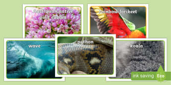 Nature Play Week Australian Nature Patterns