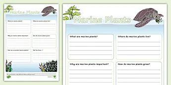 Science Fact File Template • Twinkl.com.au