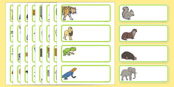 Animals Classroom Signs and Labels Early Years (EYFS), Labels