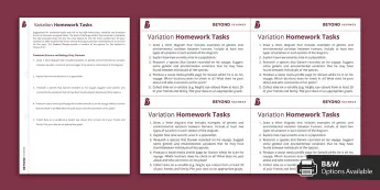 Education Homework • Twinkl.com.au