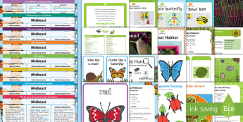 EYFS Minibeasts Activity Planning and Continuous Provision Ideas Resource Pack (Ages 2-4) - Lesson, plans, EYFS, planning, minibeasts, living things, bugs, insects, creepy crawlies, bees, spid
