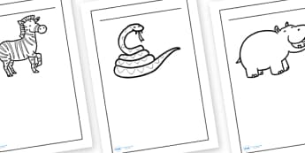 On Safari Writing Frames and Worksheets Primary Resource, Safari