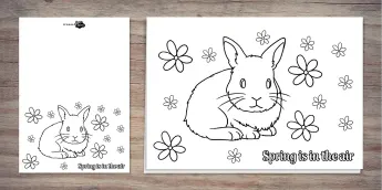 Rabbit Art Activities | twinkl.co.uk