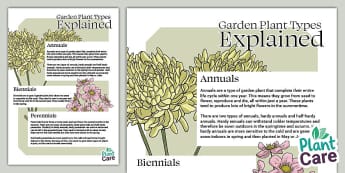 Garden Plant Types Explained: Annuals, Perennials and Biennials