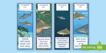 Shark Awareness Day July - Festivals and Events - Page 3