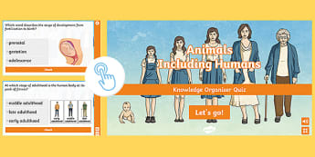 Animals, Including Humans | KS2 Science | Twinkl - Twinkl