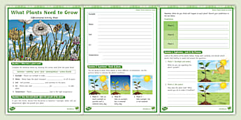 What Plants Need to Grow: Differentiated Activity