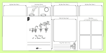 Science Diary • Twinkl.com.au