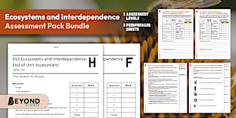 KS3 Ecosystems and Interdependence Unit of Work | Beyond