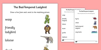 Resource Pack To Support Teaching On The Bad Tempered Ladybird