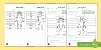 științele Vieții Corpul Omenesc Materiale Didactice Primary Re