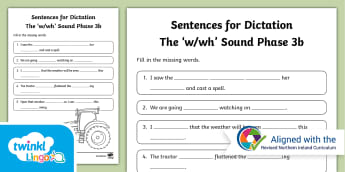 'w/wh' sound Phase 3b - Stage 5/6 Phonics - Linguistic Phonics - Resources