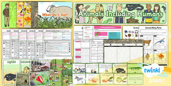 Y1 Animals, Including Humans Primary Resources - Page 1