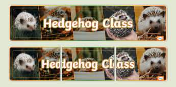 Hedgehog Class Photo Display Banner