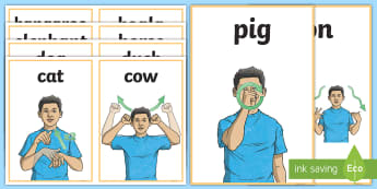 Auslan Animal Sign Cards - Australia