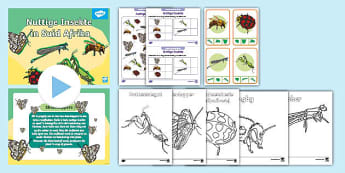 Graad 3 Insekte Hulpbronne - Lewensvaardighede - Suid Afrika