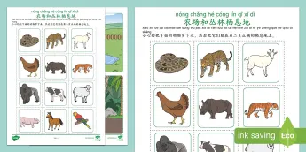 Chinese Farm Animals | twinkl.co.uk