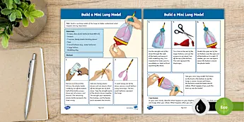Model Activities for Students | twinkl.co.uk