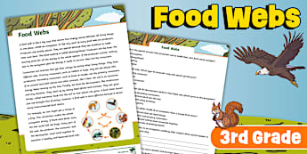 Third Grade Food Webs Reading Comprehension
