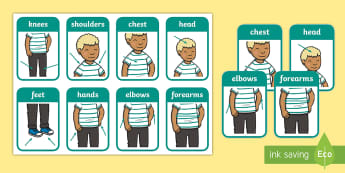 Blank Human Body Diagram/Template