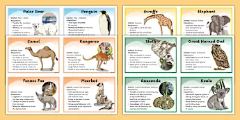 Science Fact Cards | twinkl.co.uk