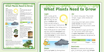 What Plants Need to Grow - Poster