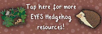 Hedgehog Activities and Ideas for Early Years - Twinkl