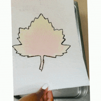 Take a nature walk. Then create a collage on self-adhesive clear contact  paper.