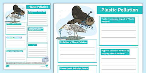 Plastic Pollution Differentiated Worksheet