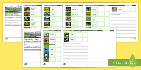 Plants and Animals in Our Local Habitat Scavenger Hunt Activity Sheet