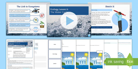 The Water Cycle Information Poster