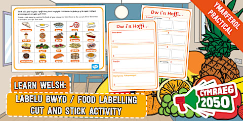 Shopping Lists and Food Cards English/Welsh