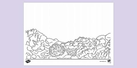 Aerial View of Estuary Colouring Sheet