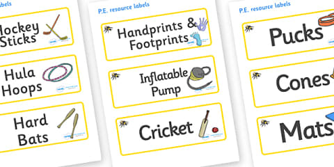 EYFS PSED My Busy Bee Goal Adult Input Plan and Resource Pack