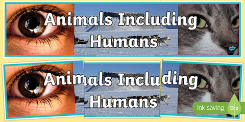 Animals, Including Humans Photo Display Banner