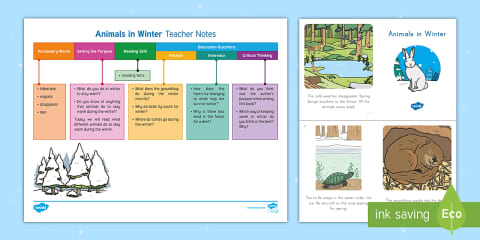 Animals in Winter Science Learning Center Activity Pack for PK-K