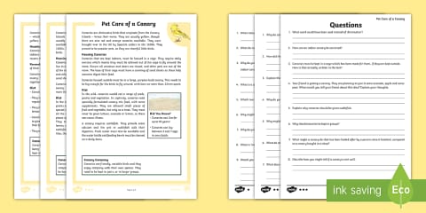 Pet Care of a Cat Differentiated Reading Comprehension Activity