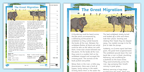 Fact File Example Animal Migration KS2 Animal Migration Fact File