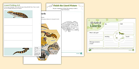 Level 2 June 2024 School Journal: Land of Lizards (Article Comprehension)
