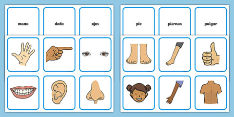 Spanish Parts of the Body Word Mat