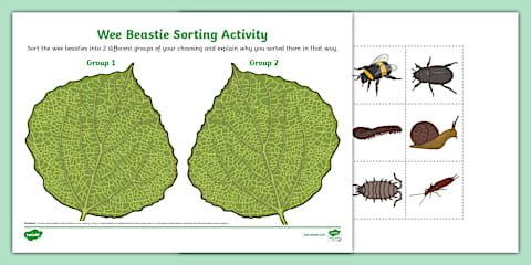 Red Panda Pattern Tracing Activity Sheet